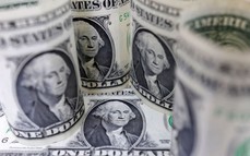 Giá USD hôm nay 9/8: Suy yếu dần trước dữ liệu lạm phát