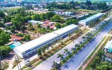 'Dò' điểm sáng lợi nhuận quý cuối năm