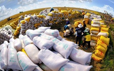 Việt Nam nắm giữ nguồn xuất khẩu gạo lớn thứ ba của thế giới