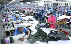 Thủ tướng chỉ đạo chấn chỉnh kỷ cương, tạo môi trường kinh doanh thuận lợi cho doanh nghiệp
