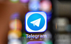 Telegram sẽ bị chặn tại Việt Nam vì có dấu hiệu vi phạm pháp luật