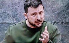 Tổng thống Zelensky đối mặt với 'áp lực tứ bề' trước thượng đỉnh Trump - Putin