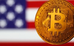 Bitcoin tăng vọt lên 75.000 USD khi Trump áp đảo trong cuộc đua vào Nhà Trắng