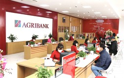 Agribank, BIDV, VietinBank gia nhập cuộc đua tăng lãi suất tiền gửi