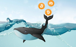 Cá voi Bitcoin là gì? Cá voi thao túng thị trường crypto như thế nào?