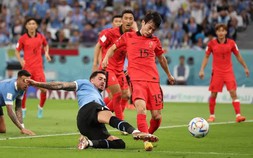 World Cup 2022: Nhận định, soi kèo trận Hàn Quốc vs Bồ Đào Nha, lúc 22h ngày 2/12
