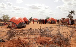 Khoảng 213.000 người Somalia có nguy cơ chết đói, vì hạn hán và giá lương thực tăng cao