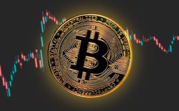 Giá Bitcoin hôm nay 17/8: Lấy lại đà tăng sau khi quay lại mốc 24.000 USD