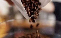 Giá cà phê xuất khẩu tăng mạnh trong tháng 8