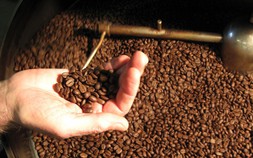 Dự báo giá cà phê giảm