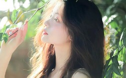 Con số may mắn hôm nay 29/11/2023 của 12 con giáp