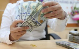 Tỷ giá đồng USD lao dốc sau khi Fed tăng lãi suất