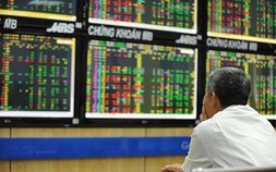 Thanh khoản được cải thiện, VN-Index tăng phiên thứ 3 liên tiếp