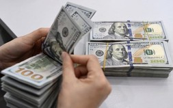 Tỷ giá USD hôm nay 1/6: Tỷ giá trung tâm tăng 15 đồng