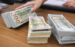 Tỷ giá USD hôm nay 6/6: Đồng USD trong nước tăng mạnh