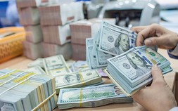 Tỷ giá USD hôm nay 9/6: Đồng bạc xanh suy yếu