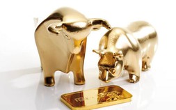 Các nhà đầu tư bán lẻ dự báo giá vàng tăng trong tuần tới (25 - 29/9)