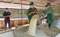 Giá cao su hôm nay 29/9: Tăng nhẹ trở lại