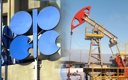 Chuyển đổi năng lượng của Trung Quốc là sai lầm đối với OPEC