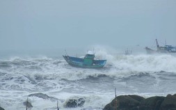 Biển Đông có thể đón áp thấp nhiệt đới