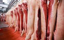 Trung Quốc điều tra chống bán phá giá đối với thịt lợn nhập khẩu từ EU
