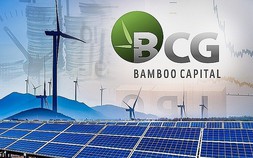 Hàng trăm triệu cổ phiếu 'họ' Bamboo Capital chất giá sàn, công ty chứng khoán cắt margin