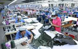 Thủ tướng chỉ đạo chấn chỉnh kỷ cương, tạo môi trường kinh doanh thuận lợi cho doanh nghiệp