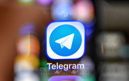 Telegram sẽ bị chặn tại Việt Nam vì có dấu hiệu vi phạm pháp luật