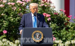 Tổng thống Trump đề xuất áp thuế 50% đối với EU và 25% đối với Apple