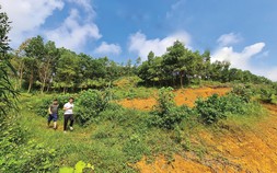 Đầu tư bất động sản: Lọc thông tin giữa vùng nhiễu động