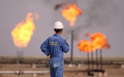 Mỹ tấn công Iran: Dự báo giá dầu tăng vọt, nhà đầu tư đổ xô vào tài sản trú ẩn an toàn