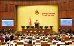 Quốc hội chính thức bỏ 8 tội danh có hình phạt tử hình, trong đó có tội tham ô