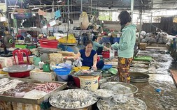 TP.HCM: Hàng dồi dào nhưng chợ vắng khách