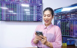 Nền tảng vững chắc, ưu tiên cổ phiếu gắn với nội lực nền kinh tế