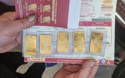 Vàng liên tiếp lập đỉnh lịch sử, tuần tới có tiếp tục tăng mạnh?