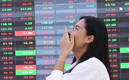 VN-Index lần đầu tiên 'chạm' mốc 1.600 điểm