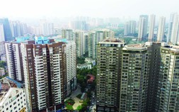 Phiên giao dịch sáng 13/8: Bất chấp áp lực chốt lời, cổ phiếu bất động sản vẫn nổi sóng