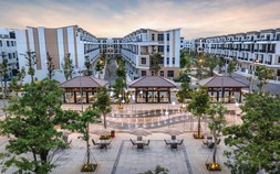 Dòng tiền Nam tiến