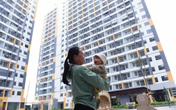 Kỳ vọng nhà giá rẻ
