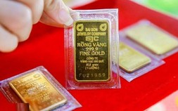 Giá vàng miếng trong nước có thể tái lập đỉnh lịch sử trong hôm nay: Có nên mua?