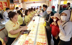 Liên tục lập kỷ lục, giá vàng còn leo thang đến khi nào?