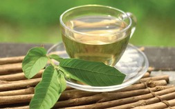 4 nhóm người không nên uống nước lá ổi
