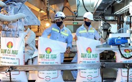 Đạm Cà Mau bị phạt, truy thu thuế hơn 6 tỷ đồng