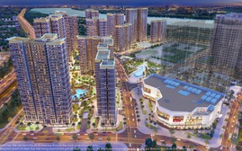 Vinhomes bán sạch 6.000 căn hộ trong 11 ngày: Dòng tiền đang đổ vào bất động sản?