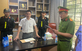 Xây 'chui' gần 500 căn biệt thự ở Đồng Nai, Chủ tịch LDG bị bắt