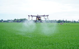 Thuốc bảo vệ thực vật có phải 'tội đồ' của an toàn thực phẩm?
