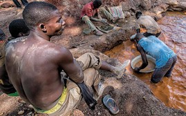 Chín công nhân khai thác vàng người Trung Quốc bị giết ở Cộng hòa Trung Phi