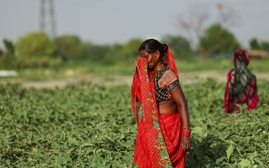 Nắng nóng kinh hoàng ở Ấn Độ, hàng chục người thiệt mạng