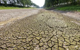 Hạn hán, nắng nóng đe dọa thu hoạch ở các vùng nông nghiệp Trung Quốc