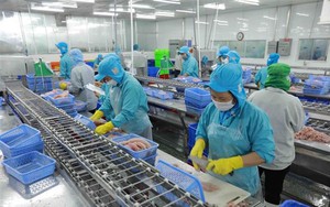 Chuyên gia Australia đánh giá tích cực triển vọng của kinh tế Việt Nam